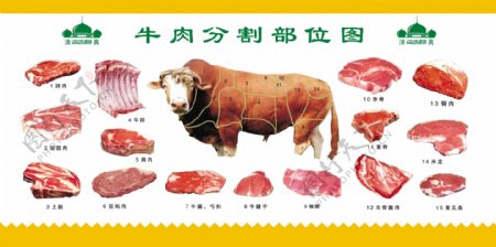 牛肉分割部位图图片