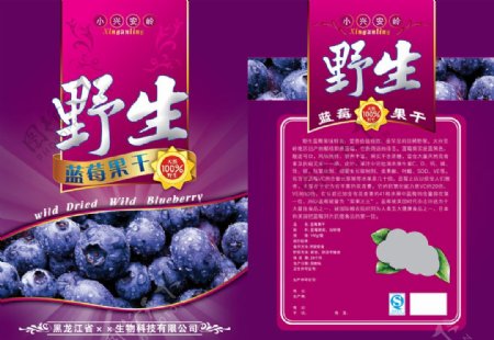 野生蓝莓果干图片