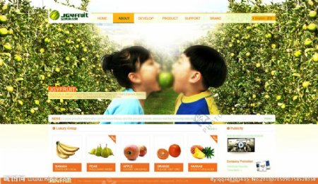 水果网页设计图片