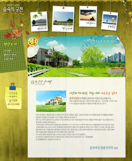 韩式网页设计模板图片