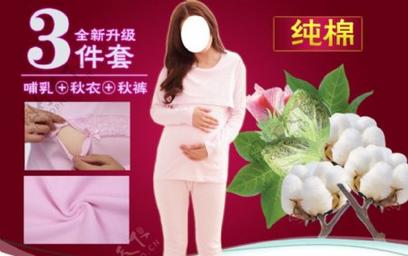 棉花棉叶子棉花骨图片