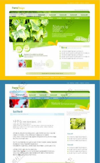 农产品网站版面图片