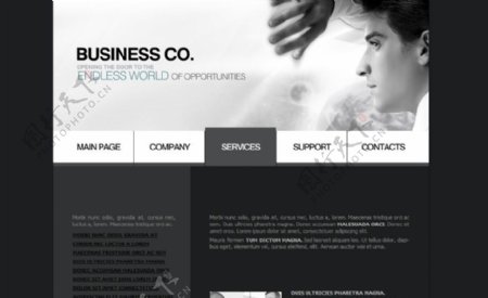 商业公司网站图片