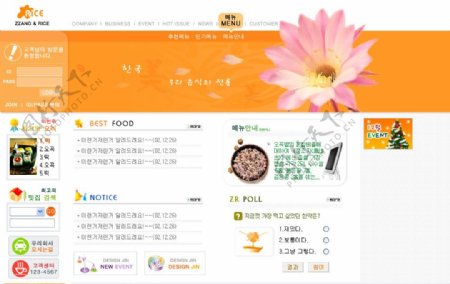 韩国橙色清新企业psd网页模板图片