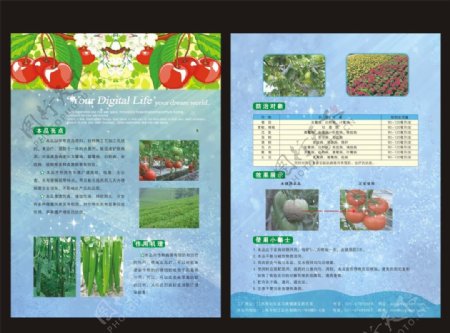农药单页图片