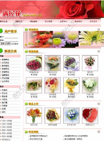 中文模板网页模板图片