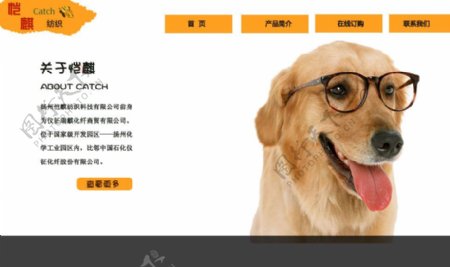 宠物网站模板图片
