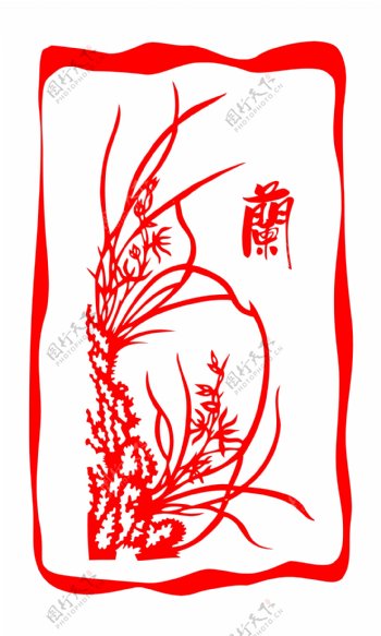 梅兰竹菊之兰图片