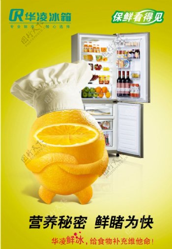 华凌橙子节能保鲜冰箱图片