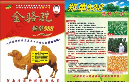 农药宣传彩页金骆驼玉米专用图片
