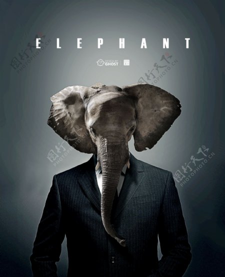 创意大象海报图片