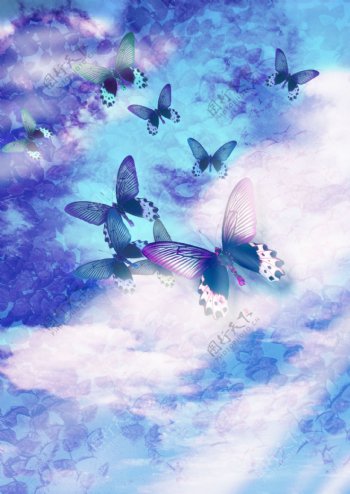 蔚蓝天空的蝴蝶图片