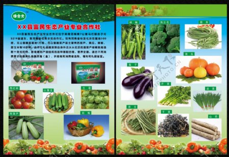 蔬菜宣传彩页图片