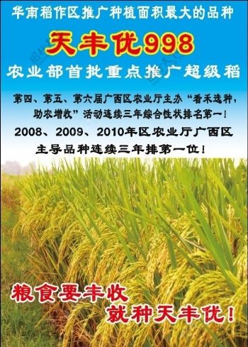 稻谷种子图片