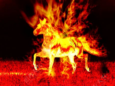 燃烧的烈马图片