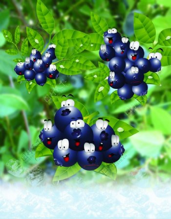 蓝莓速冻蓝莓冰块图片