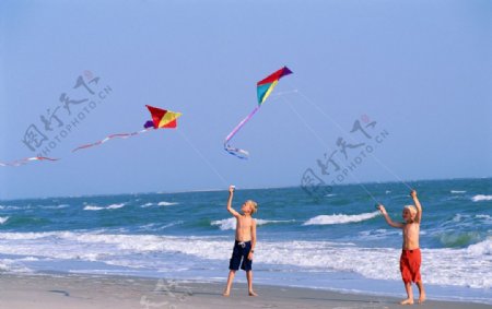 海边放风筝的小男孩图片