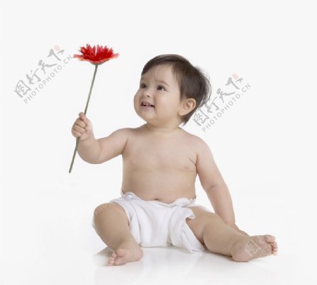 拿着一朵花的可爱宝宝婴儿图片