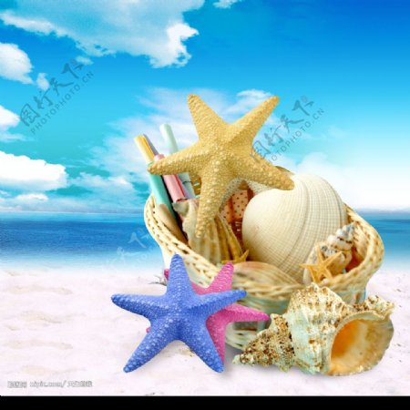 星星和海螺图片