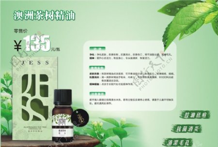 茶树精油海报图片
