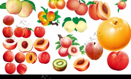 梨和桃子图片