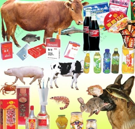 动物副食品图片