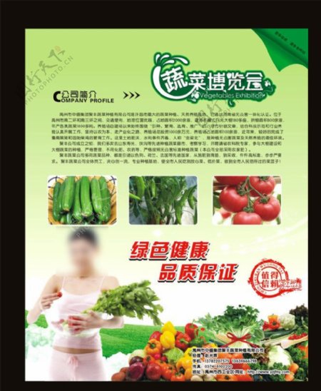 绿色美女蔬菜清新海报图片