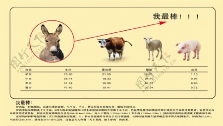 驴肉营养表图片