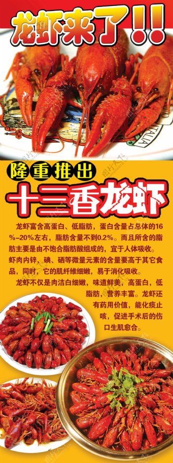 十三香龙虾广告图片