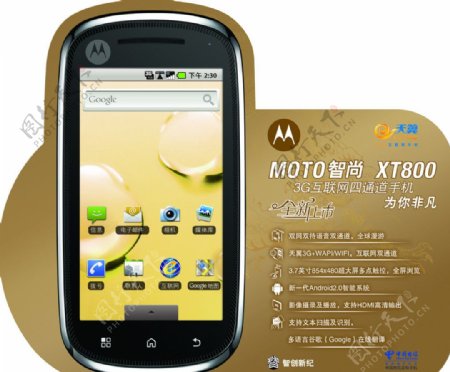 MOTO信息卡XT800图片