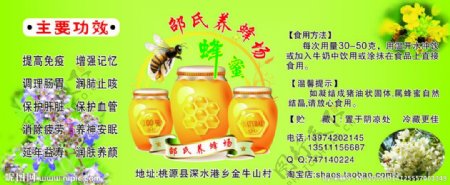 邵氏养蜂场商品标签图片