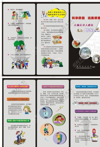 H7N9三折页图片