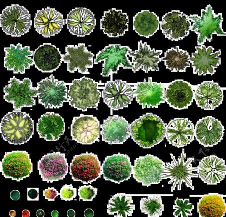彩色植物图列素材图片