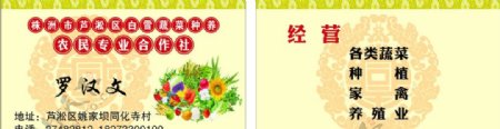 蔬菜养殖名片图片