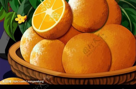 高精度PSD橘子图片