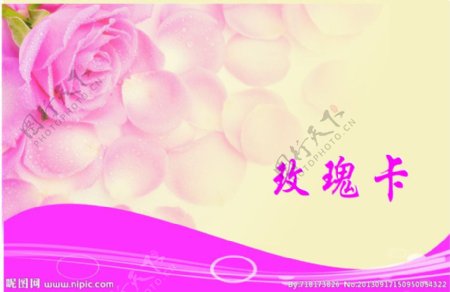 粉色背景素材玫瑰卡图片