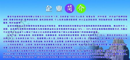 金成投资公司简介展板图片