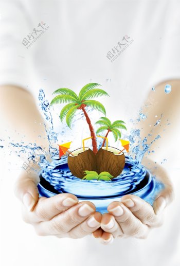 椰子树手图片