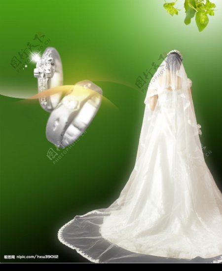 绿色唯美婚纱照片图片