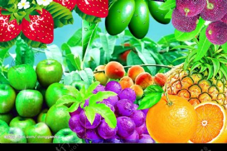 精美水果1可口的水果素材图片