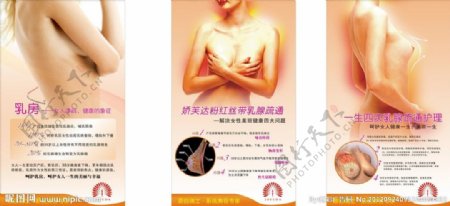 女性乳房保键图片