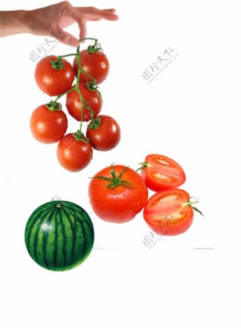 水果蔬菜苹果西瓜西红柿柚子图片
