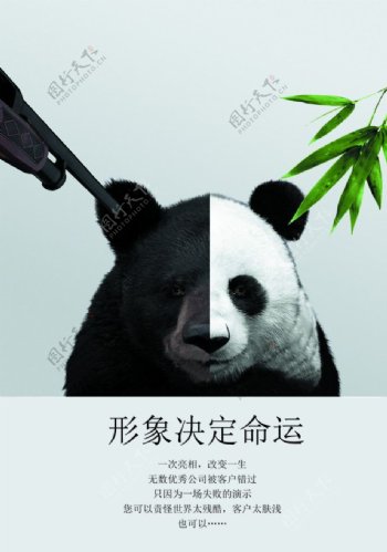 形象改变命运图片