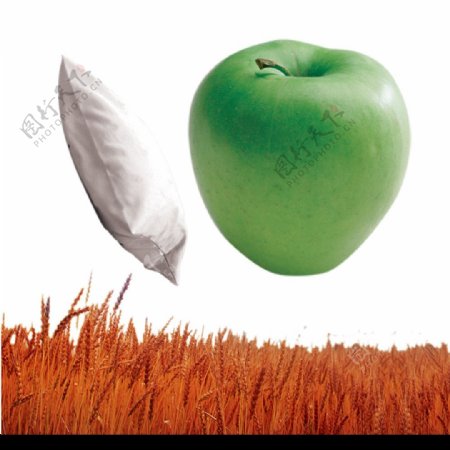 苹果枕头麦子图片