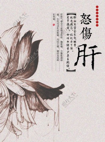 中式花卉图案养生系列海报图片