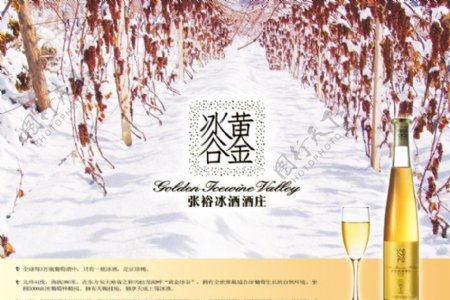 冰谷黄金葡萄酒海报图片