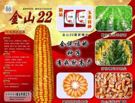 玉米广告图片