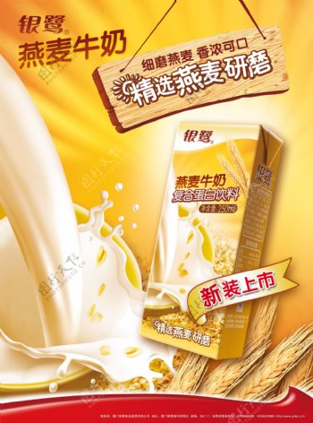 银鹭燕麦牛奶图片