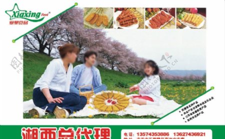 夏星食品宣传海报图片