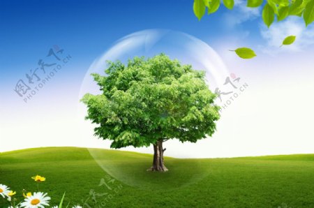 树木生态设计图片